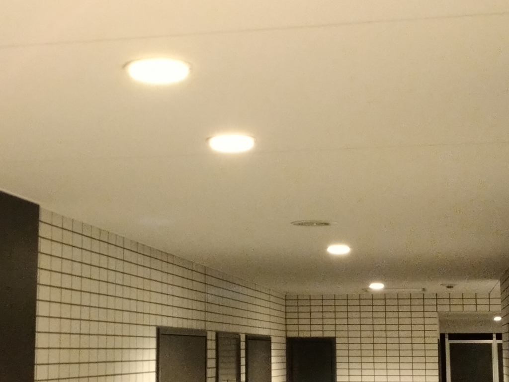 LED 照明